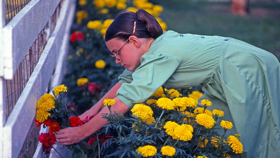 An Amish girl picks flowers in Lancaster County, Pennsylvania. Photographing the Amish